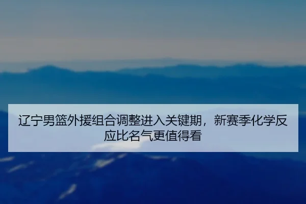 辽宁男篮外援组合调整进入关键期，新赛季化学反应比名气更值得看